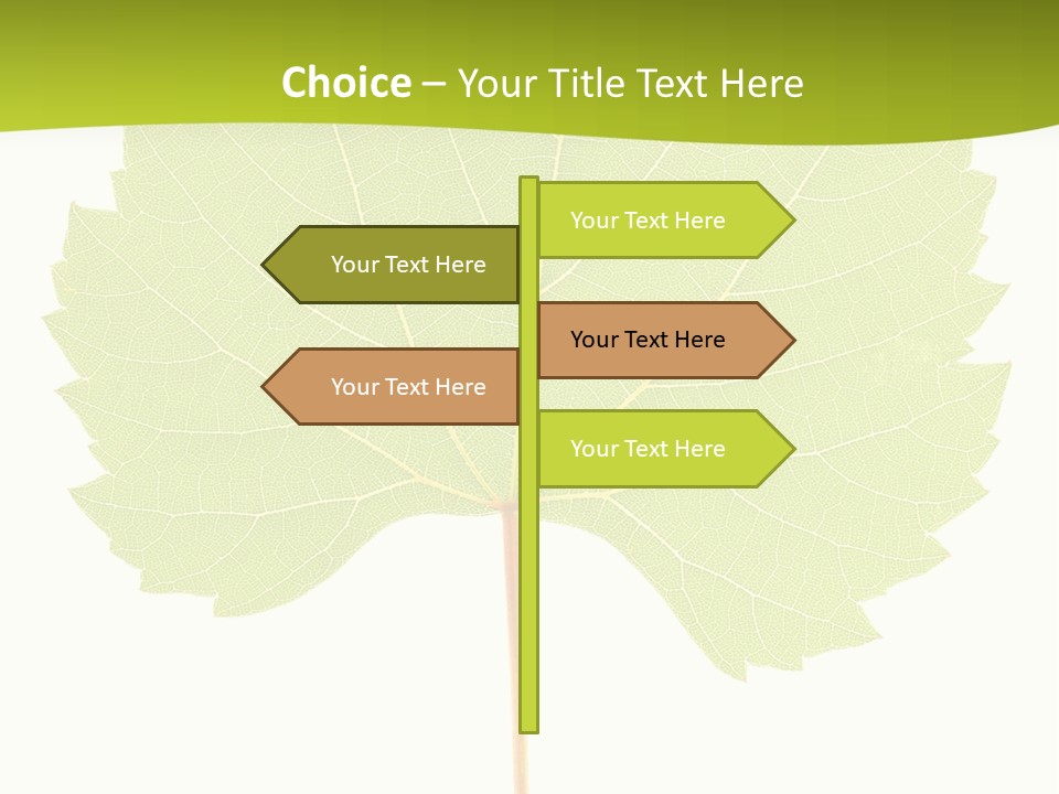 Botany Foliage Fly PowerPoint Template