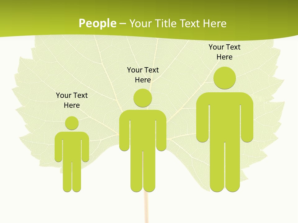 Botany Foliage Fly PowerPoint Template