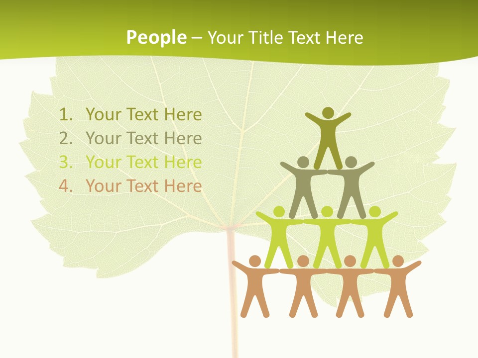 Botany Foliage Fly PowerPoint Template