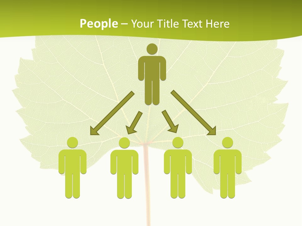 Botany Foliage Fly PowerPoint Template