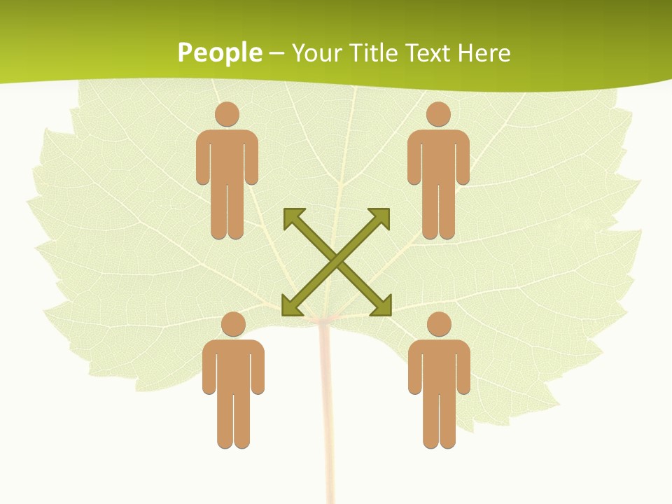 Botany Foliage Fly PowerPoint Template