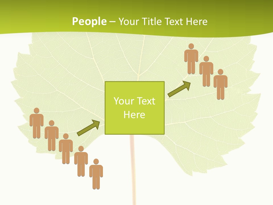 Botany Foliage Fly PowerPoint Template