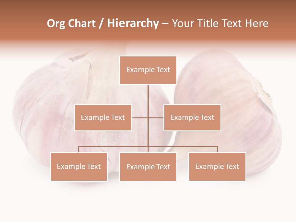 Raw Vegetarian Spice PowerPoint Template