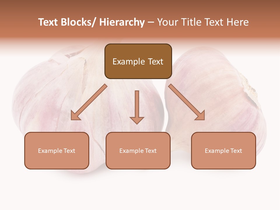 Raw Vegetarian Spice PowerPoint Template