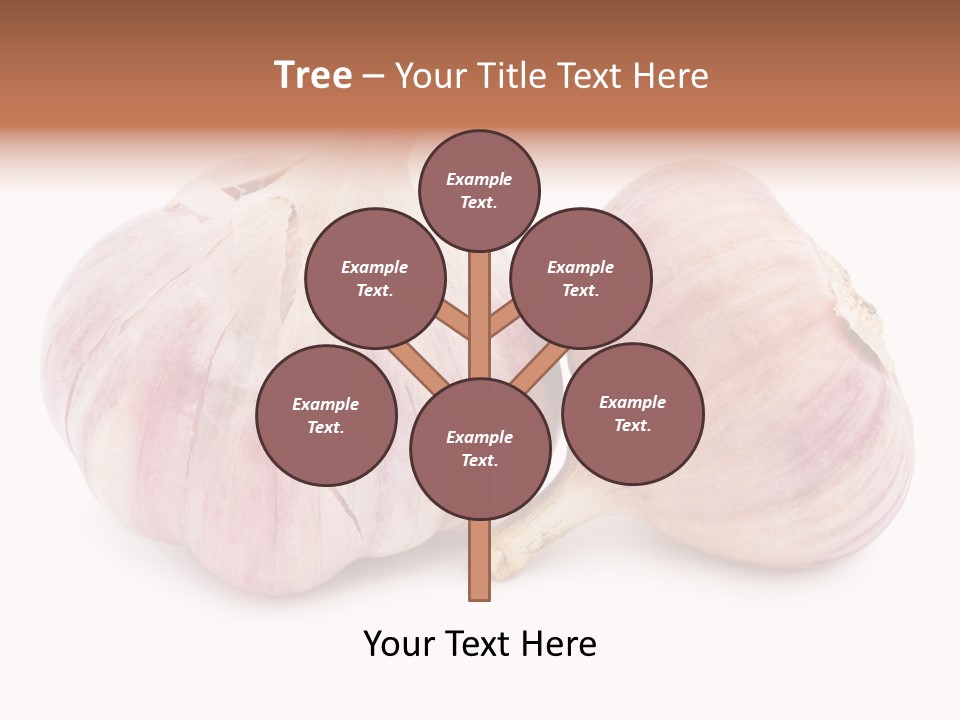 Raw Vegetarian Spice PowerPoint Template