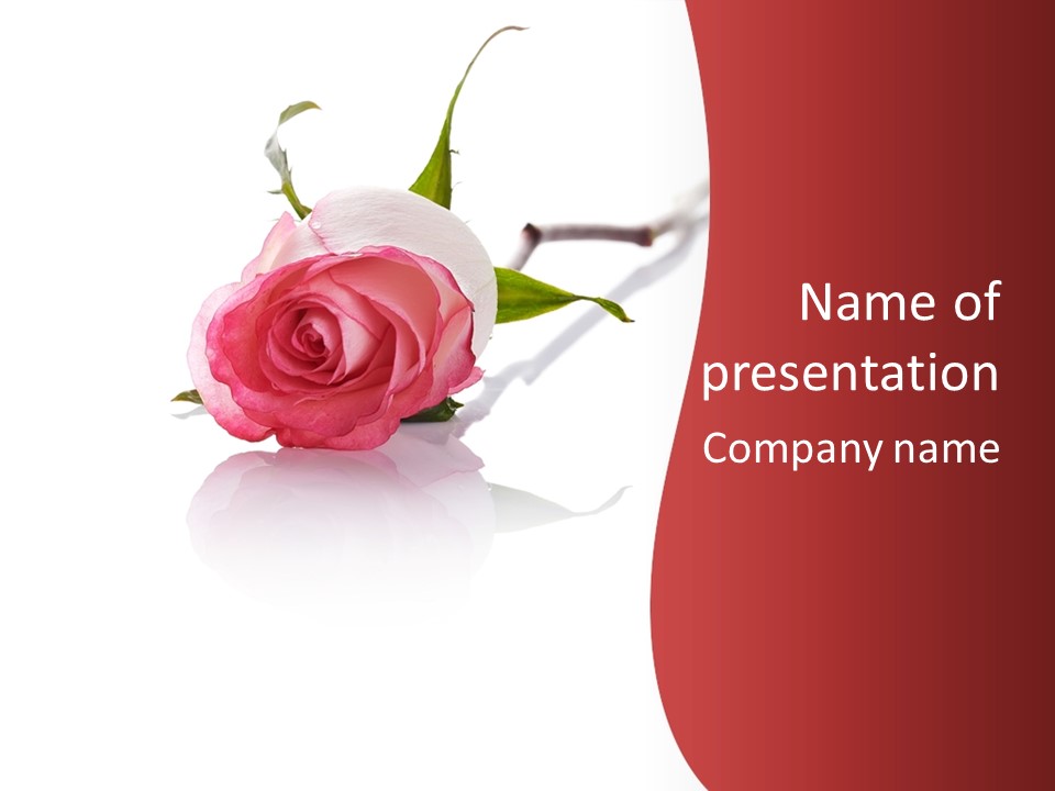 Object Petal Flower PowerPoint Template