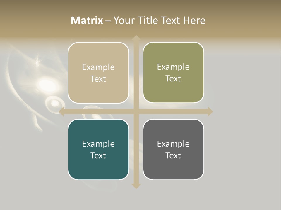 Shapes Disks Universe PowerPoint Template