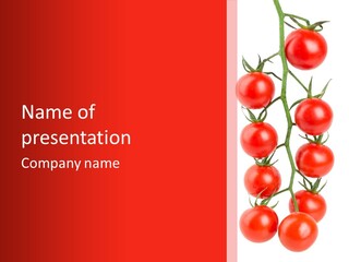 Isolated Hanging Organic PowerPoint Template