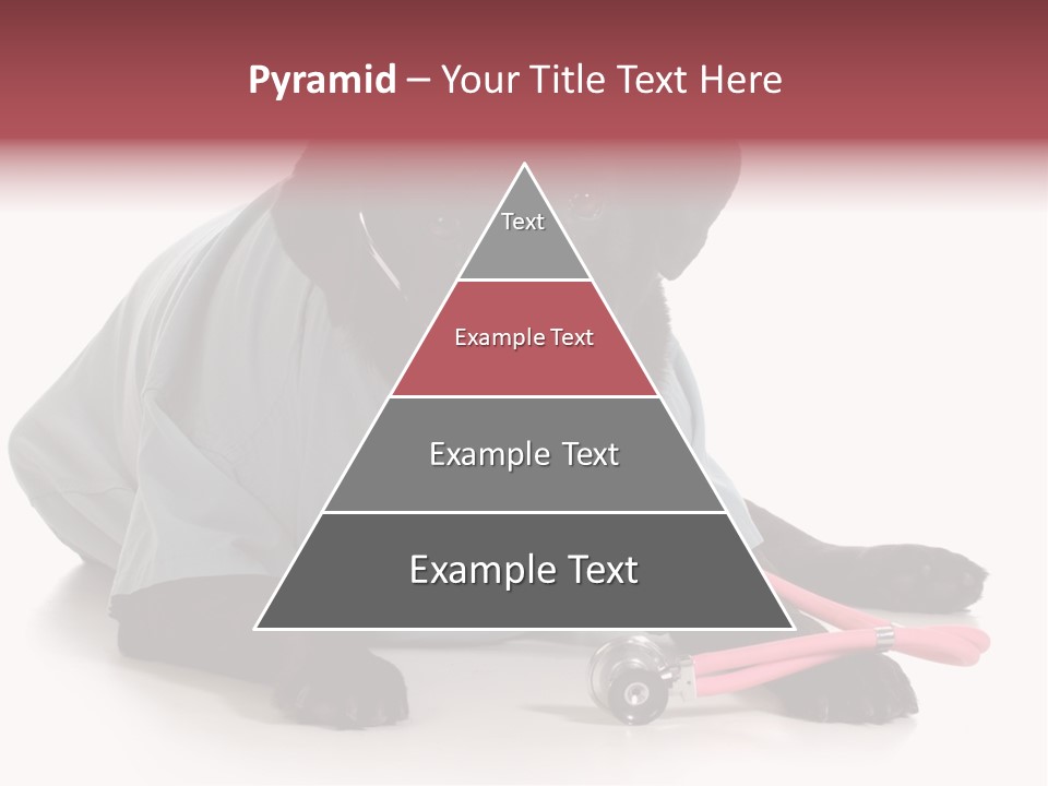 Operation Black Wearing PowerPoint Template