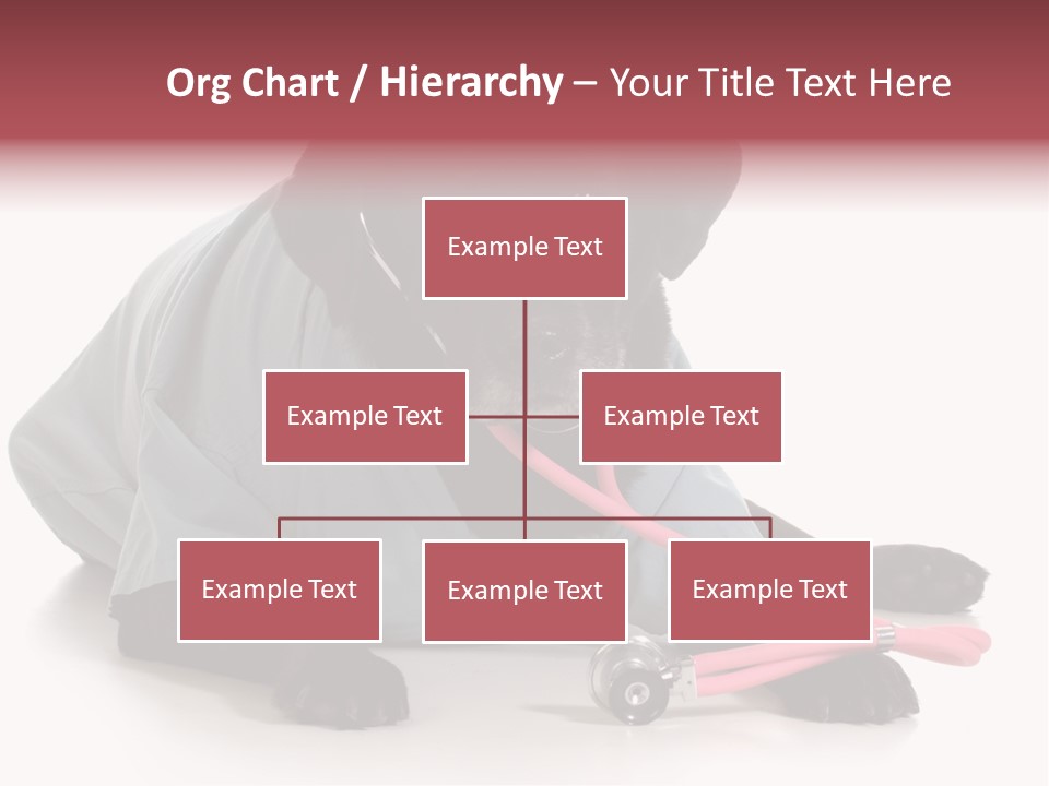 Operation Black Wearing PowerPoint Template