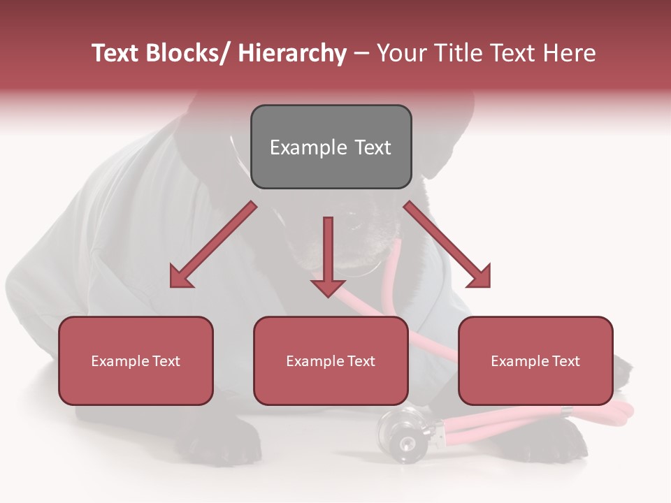 Operation Black Wearing PowerPoint Template