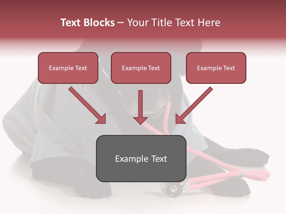 Operation Black Wearing PowerPoint Template