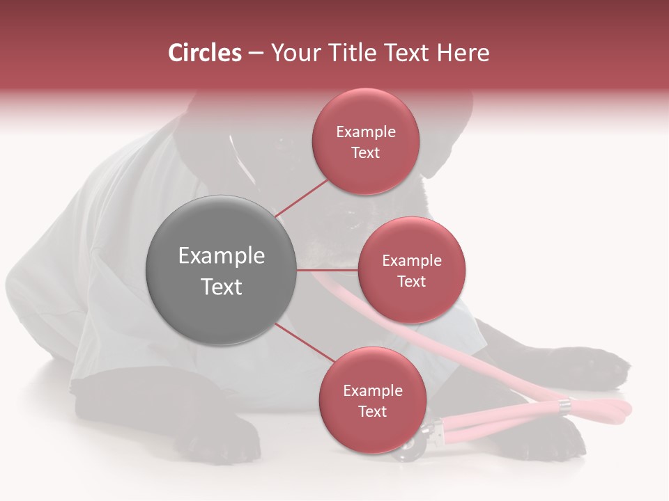 Operation Black Wearing PowerPoint Template