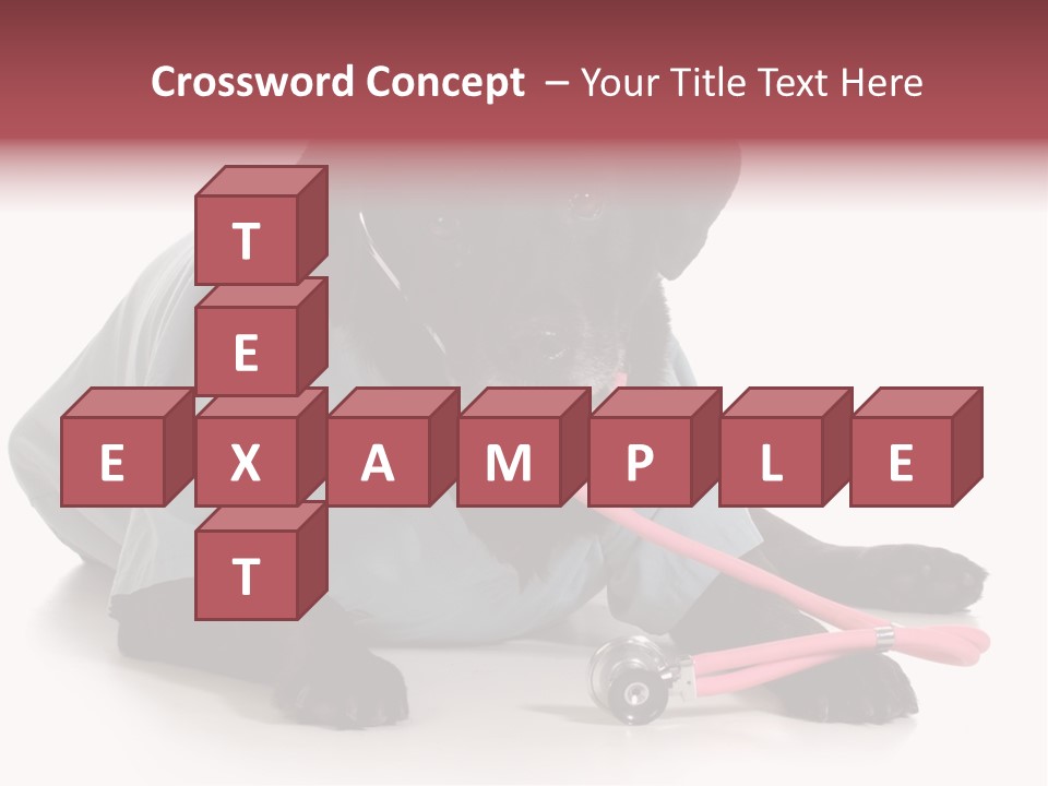 Operation Black Wearing PowerPoint Template