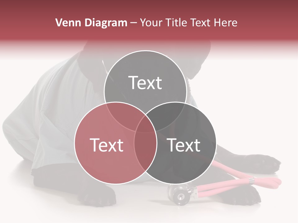 Operation Black Wearing PowerPoint Template