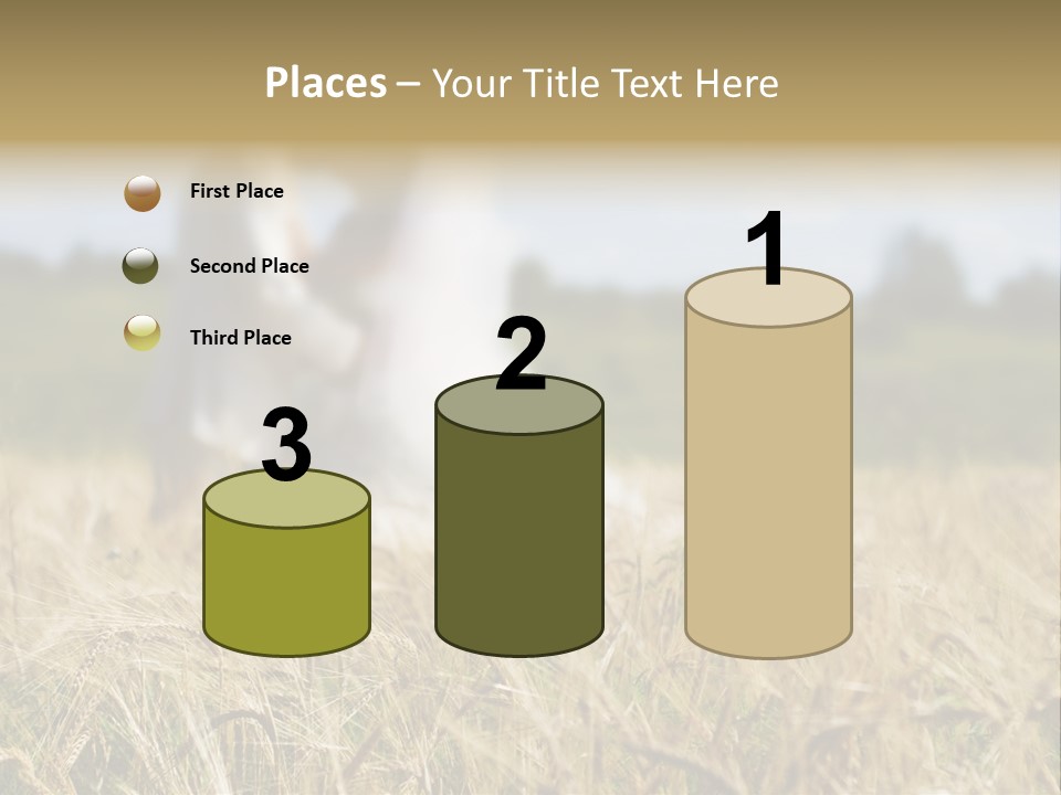 Golden Pet Beach PowerPoint Template