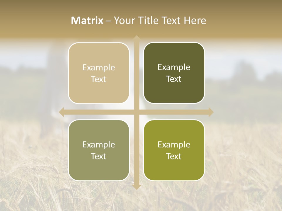 Golden Pet Beach PowerPoint Template