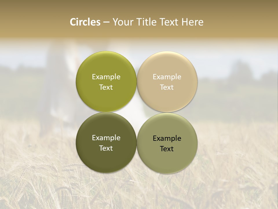 Golden Pet Beach PowerPoint Template