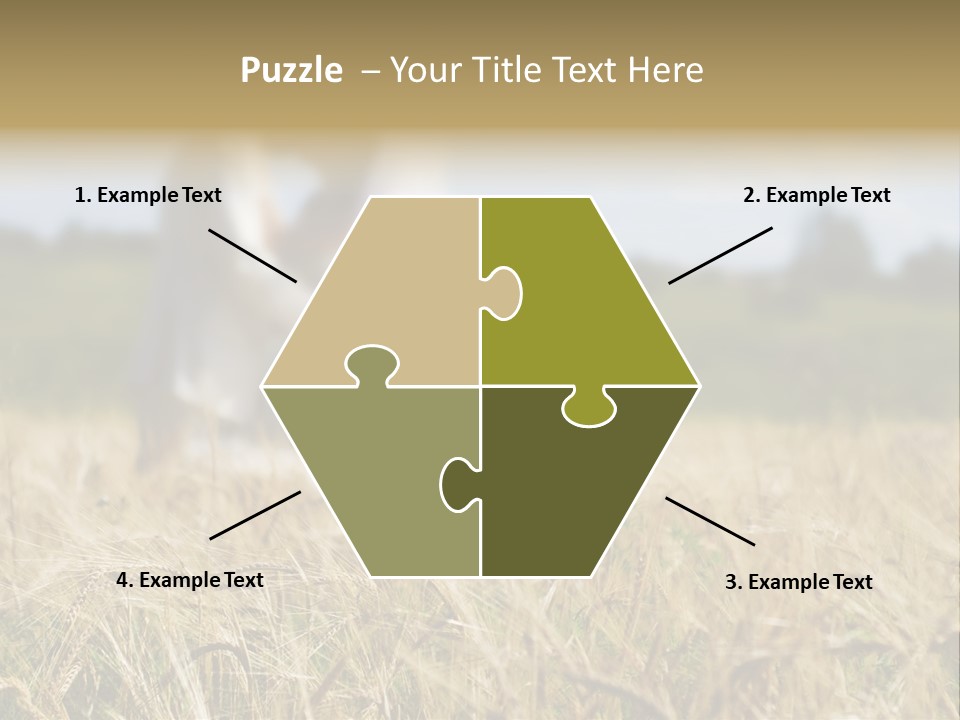 Golden Pet Beach PowerPoint Template