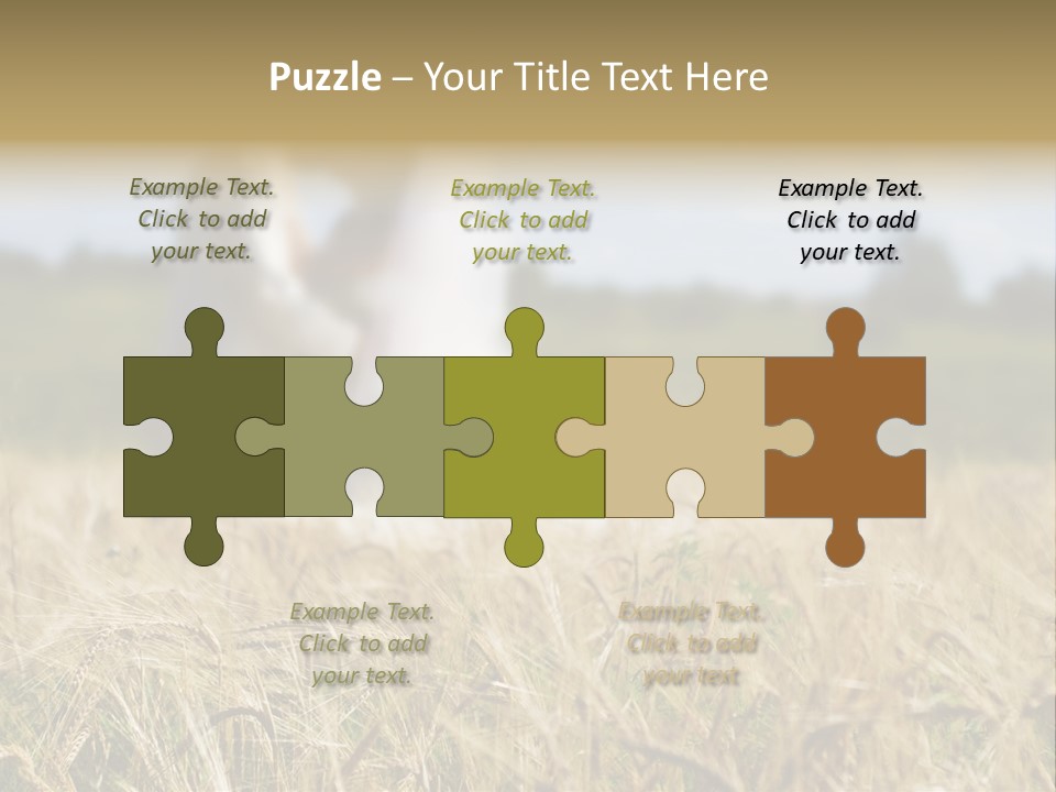 Golden Pet Beach PowerPoint Template