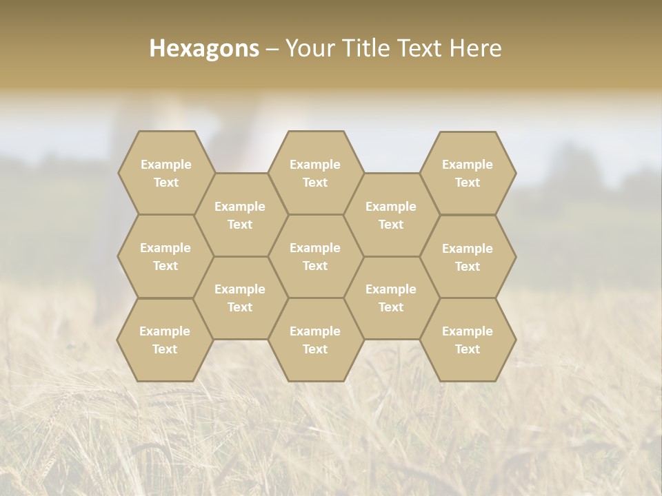 Golden Pet Beach PowerPoint Template