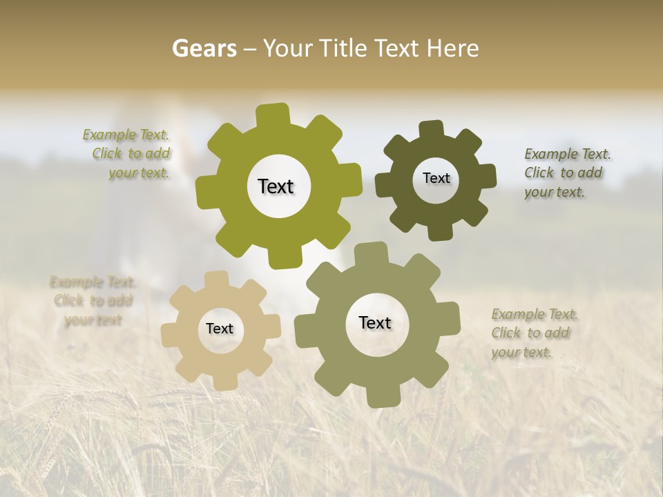 Golden Pet Beach PowerPoint Template