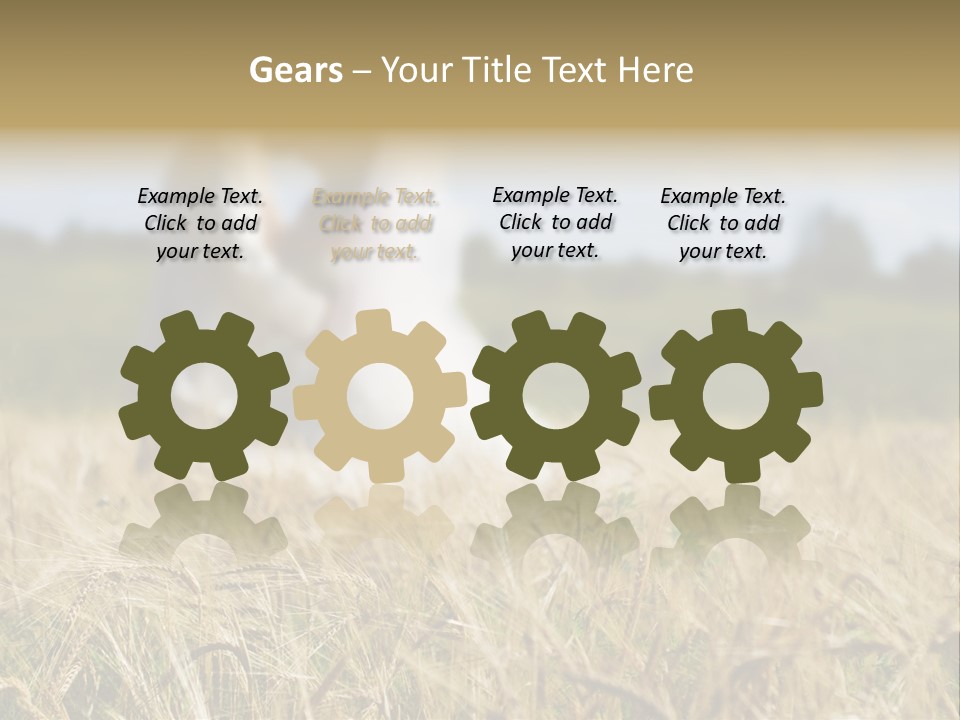 Golden Pet Beach PowerPoint Template