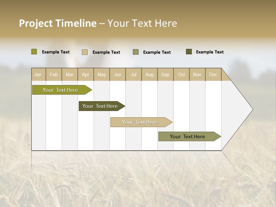 Golden Pet Beach PowerPoint Template