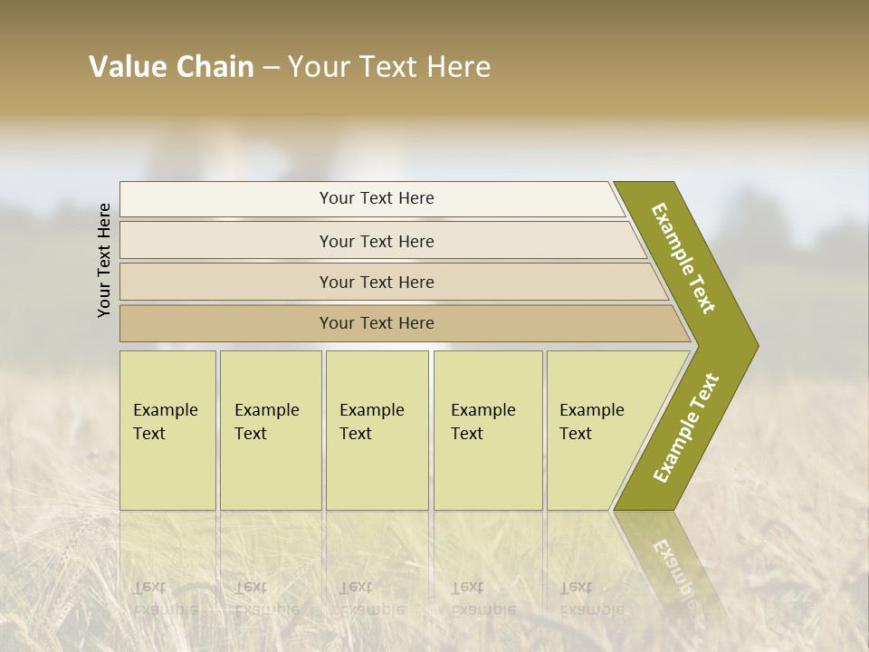 Golden Pet Beach PowerPoint Template