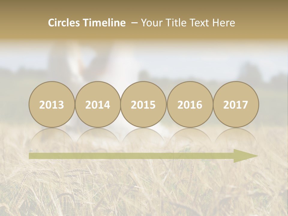 Golden Pet Beach PowerPoint Template