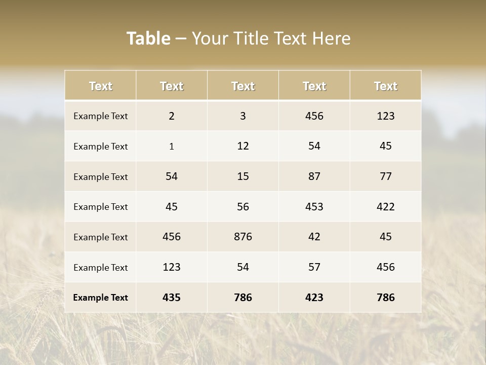 Golden Pet Beach PowerPoint Template