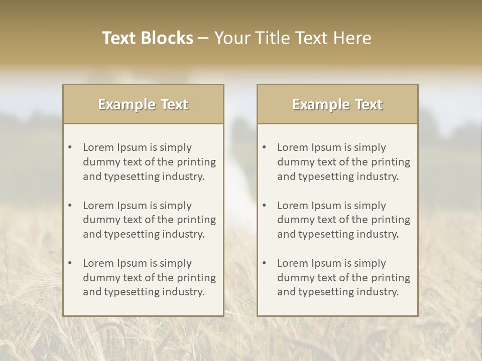 Golden Pet Beach PowerPoint Template