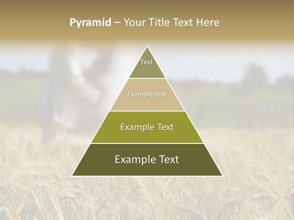 Golden Pet Beach PowerPoint Template