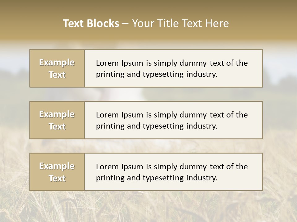 Golden Pet Beach PowerPoint Template