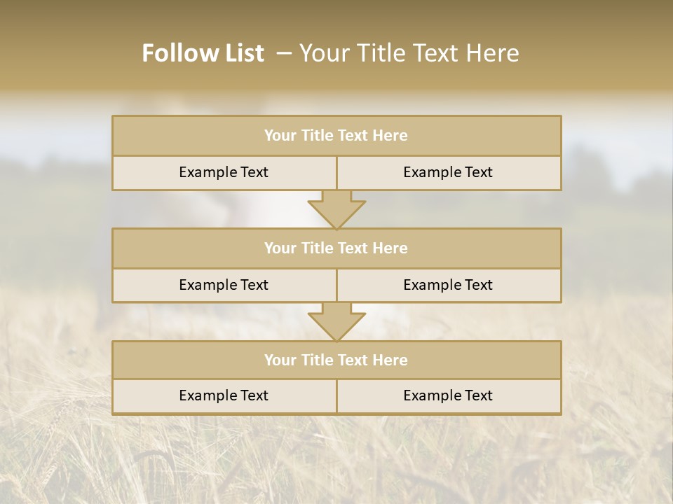 Golden Pet Beach PowerPoint Template