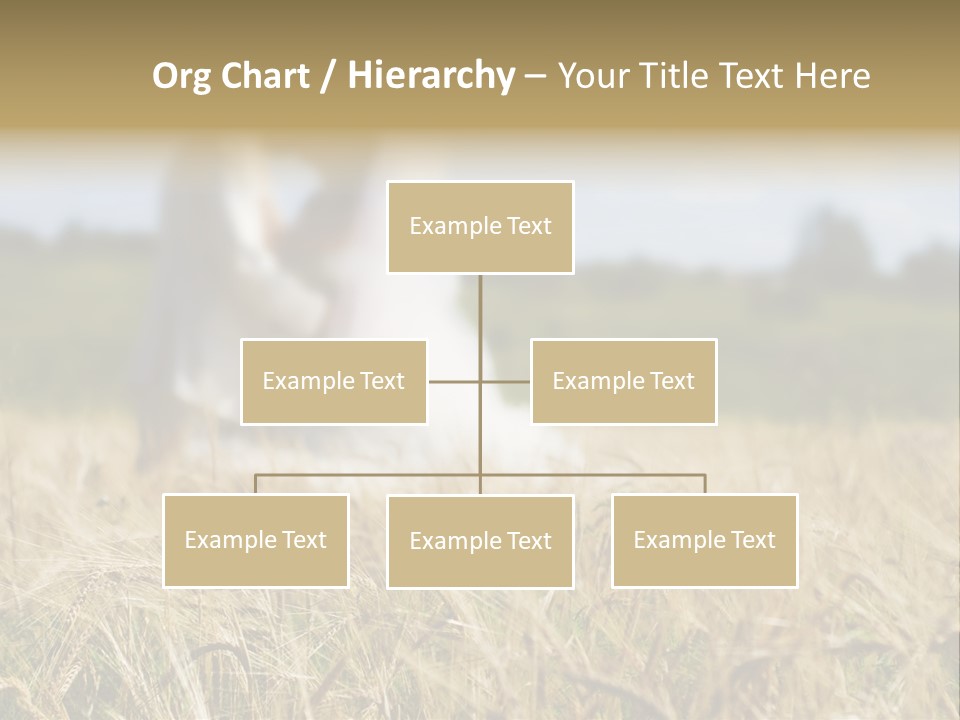 Golden Pet Beach PowerPoint Template