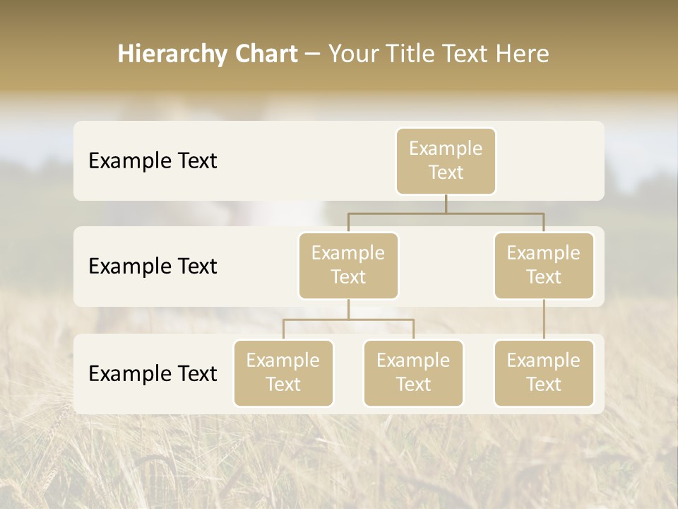 Golden Pet Beach PowerPoint Template
