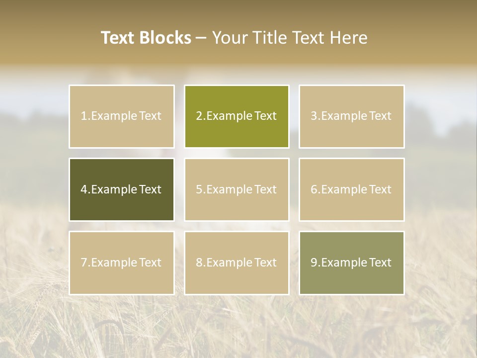 Golden Pet Beach PowerPoint Template