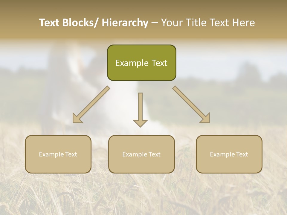 Golden Pet Beach PowerPoint Template