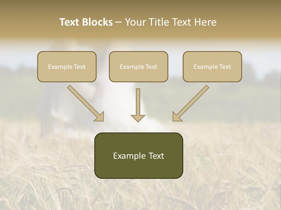 Golden Pet Beach PowerPoint Template
