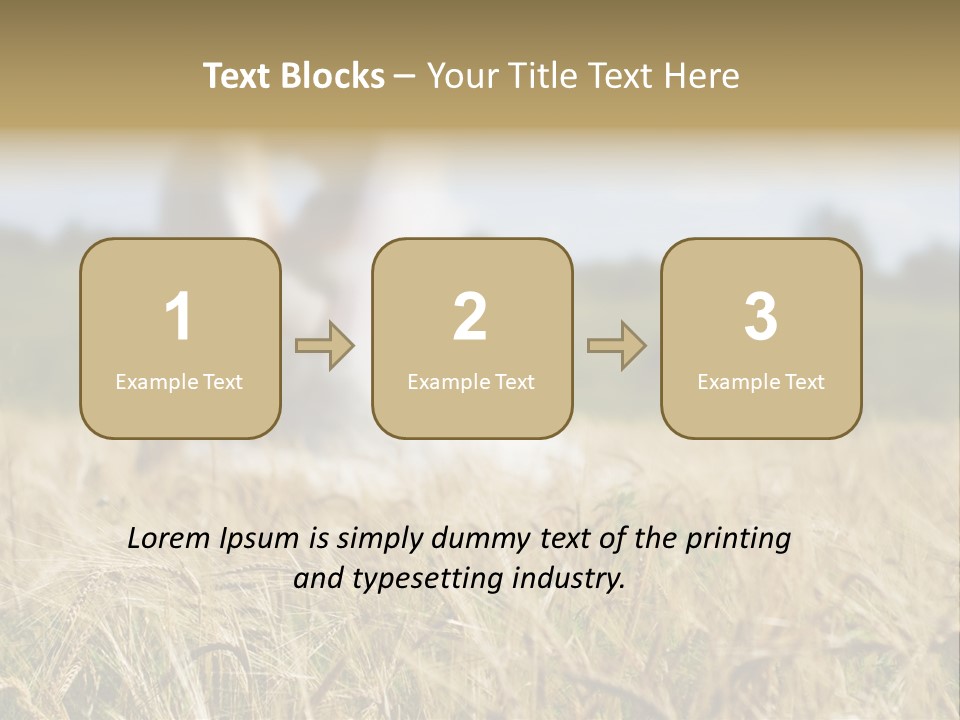 Golden Pet Beach PowerPoint Template