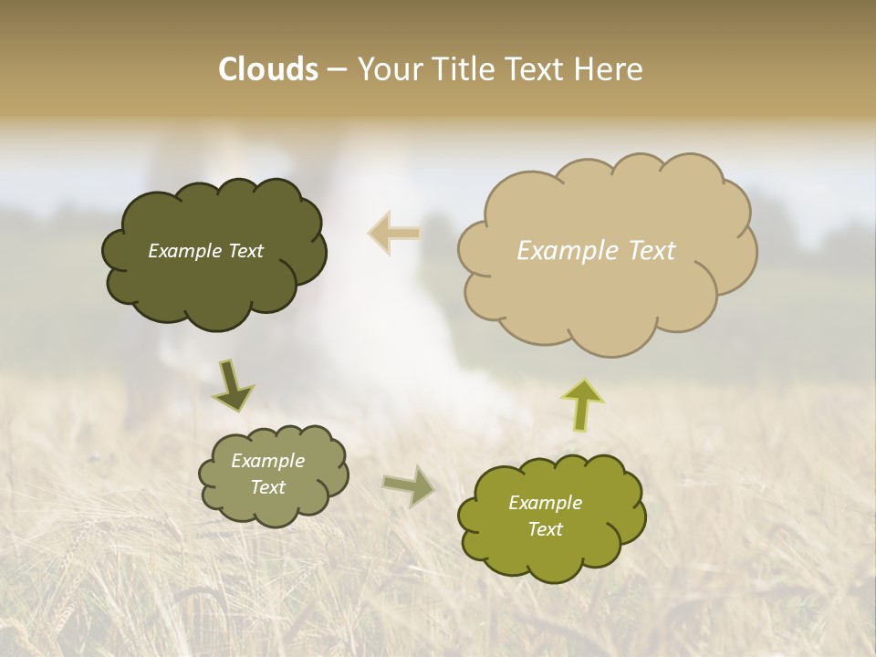 Golden Pet Beach PowerPoint Template