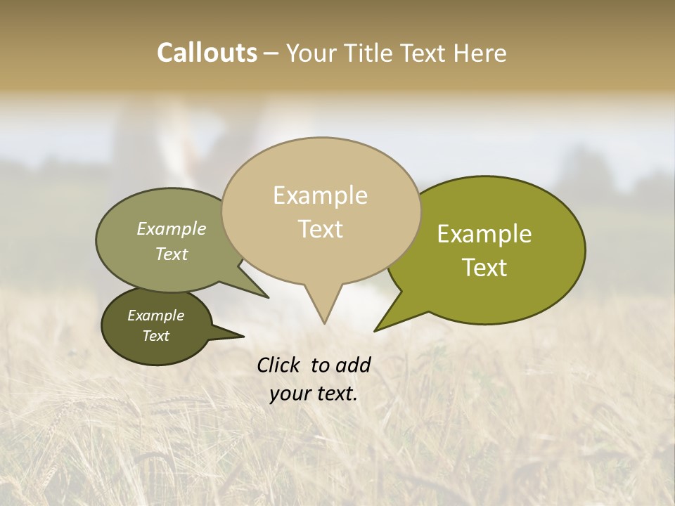 Golden Pet Beach PowerPoint Template