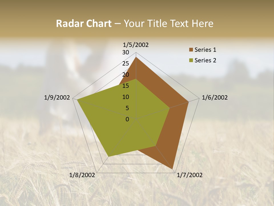 Golden Pet Beach PowerPoint Template