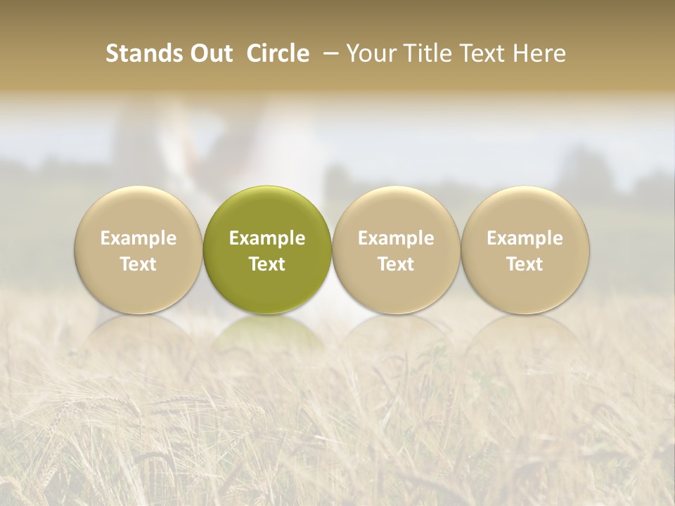 Golden Pet Beach PowerPoint Template