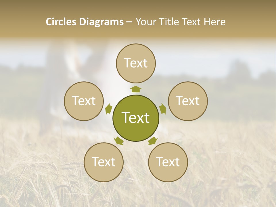 Golden Pet Beach PowerPoint Template