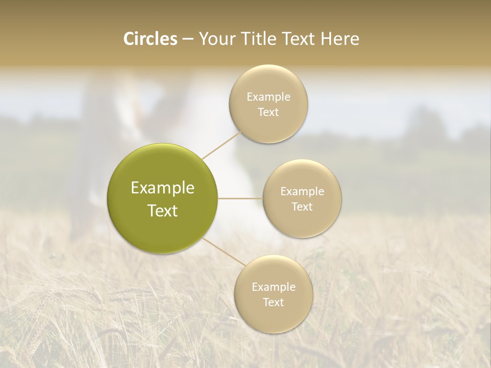 Golden Pet Beach PowerPoint Template