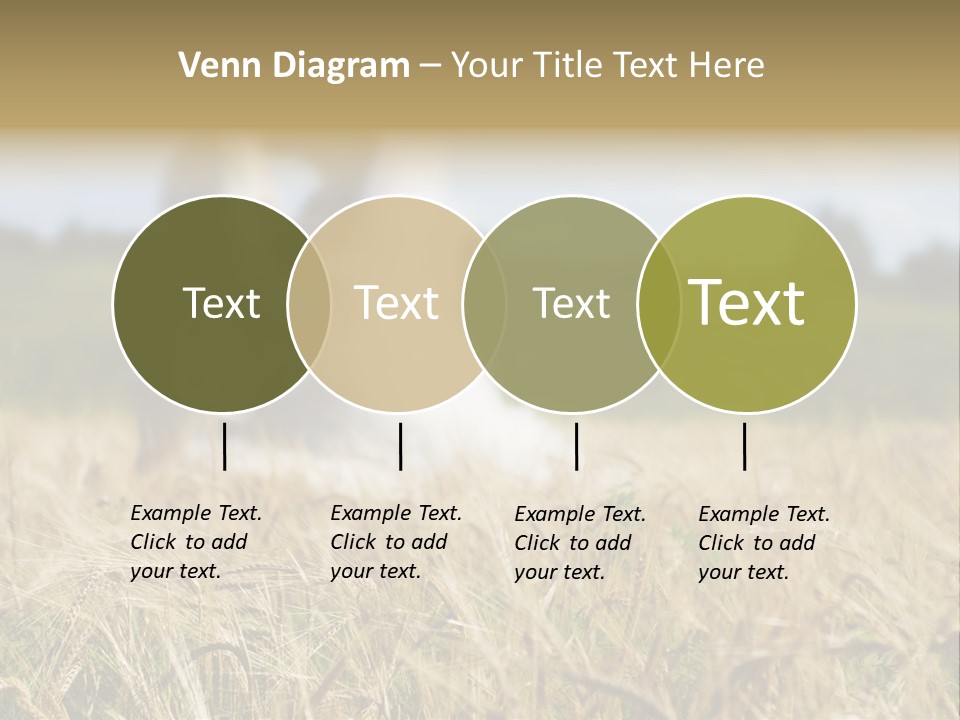 Golden Pet Beach PowerPoint Template