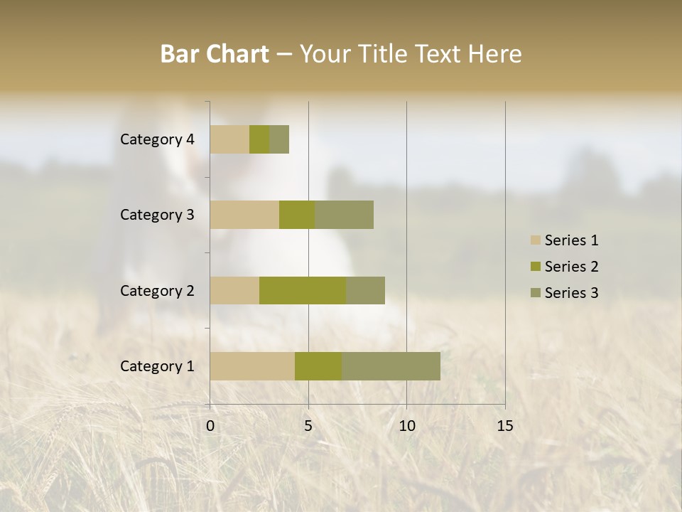 Golden Pet Beach PowerPoint Template