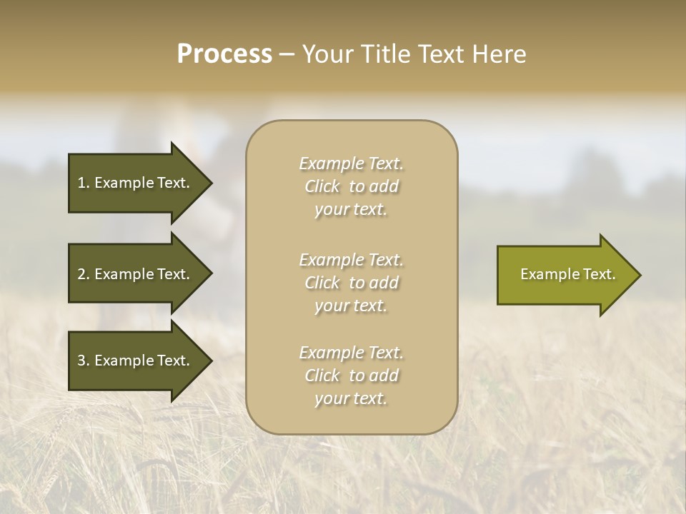 Golden Pet Beach PowerPoint Template
